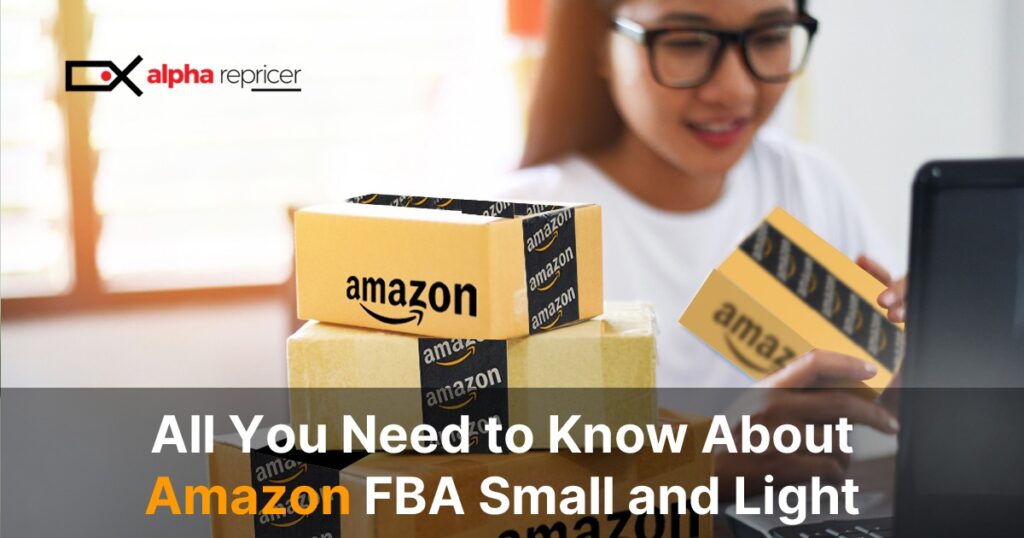 Amazon FBA Small and Light