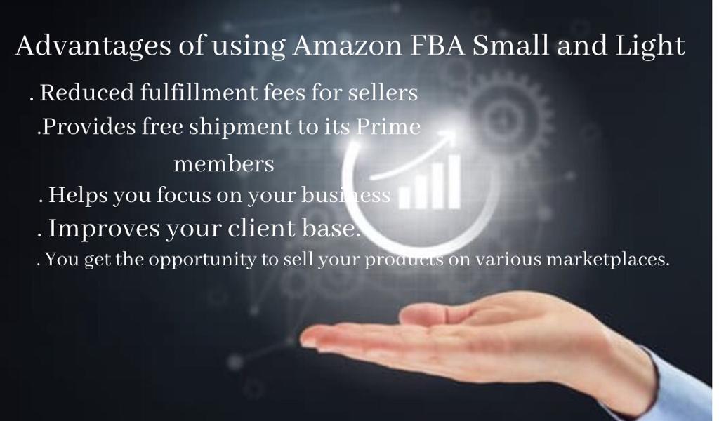 Amazon FBA Small and Light