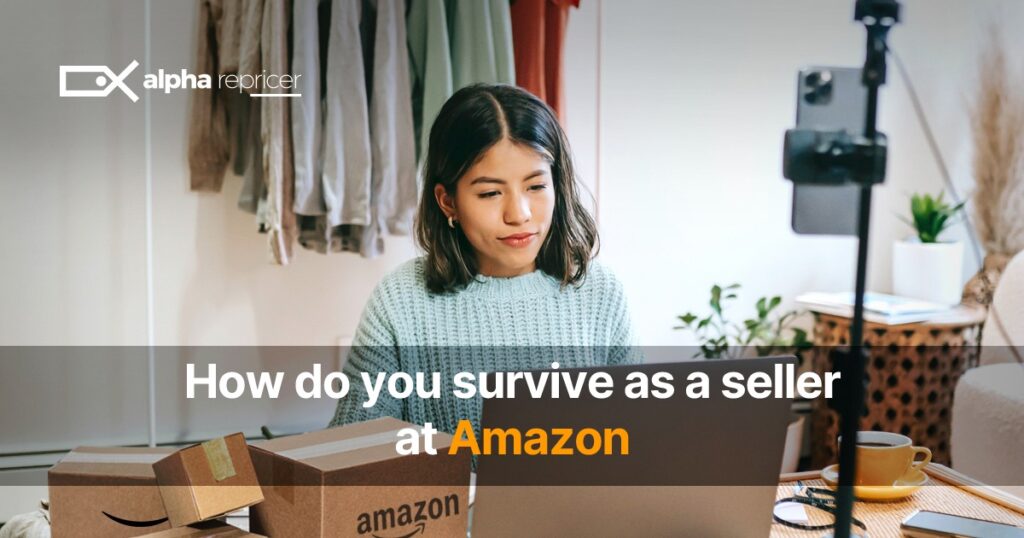 How Do You Survive as a Seller at Amazon?